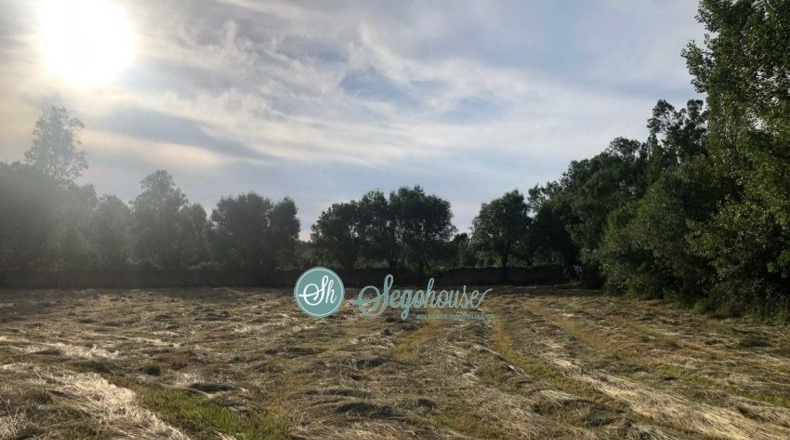 Segovia - Pedraza - 17000m2