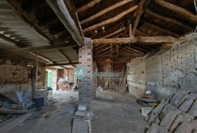 Foto 15
