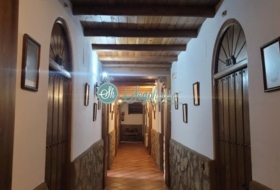Foto 19