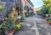 Участок с постройкой на продажу в городе Valencia de Alcántara. Фото