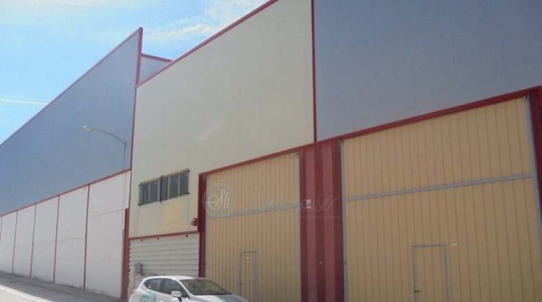 Segovia - Hontoria - 550m2