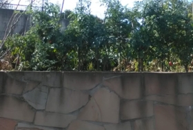 Treviño 300&nbsp;m² 