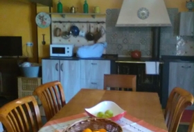 Treviño 300&nbsp;m² 