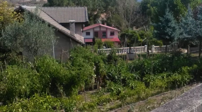 Burgos - Franco - 300m2