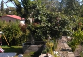 Chalet independiente con terreno en venta en Treviño ref: TR14039 foto