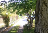 Chalet independiente con terreno en venta en Treviño ref: TR14039 foto
