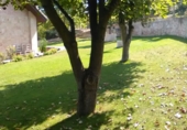 Chalet independiente con terreno en venta en Treviño ref: TR14039 foto