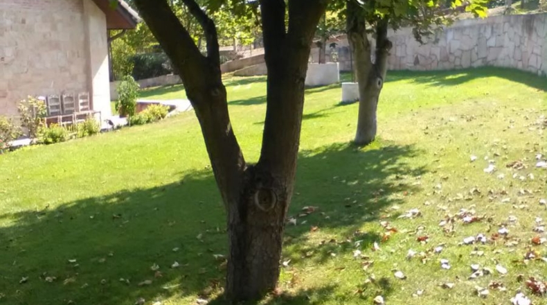 Burgos - Franco - 300m2