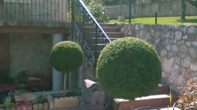 Burgos - Franco - 300m2