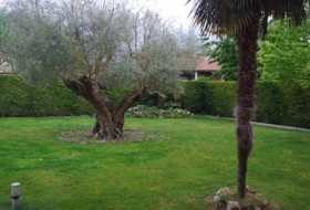 Vitòria 518&nbsp;m² 