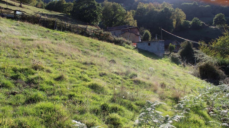 Asturias - La Xuliana - 1200m2