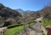 Finca rústica en venta en Pola de Laviana ref: TR274558 foto