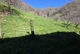 Pola de Laviana 4600&nbsp;m² 