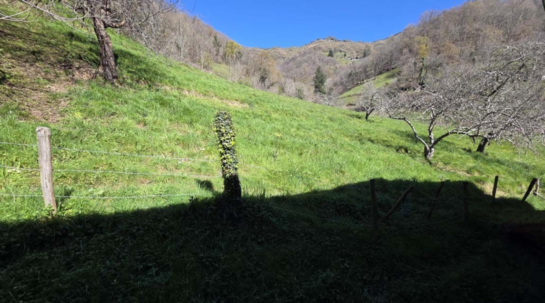 Asturias - Las Borias - 4600m2