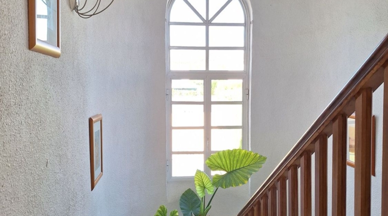 Málaga - Málaga - 585m2