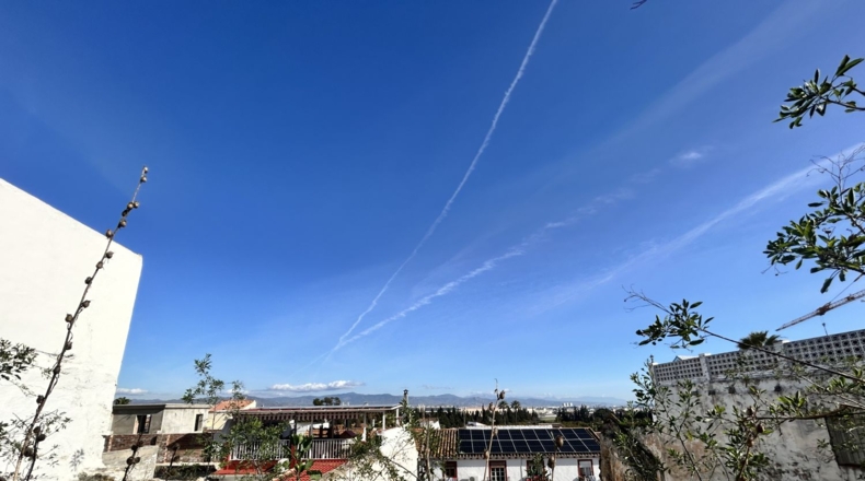 Malaga - Málaga - 347m2