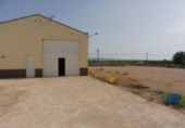Industrial warehouse for rent in Fuente Álamo ref: TR104473 photo