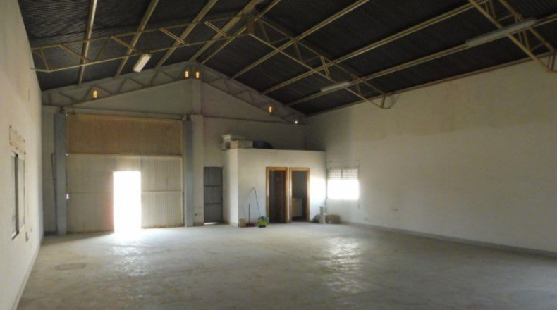 Murcia - Balsapintada - 3000m2