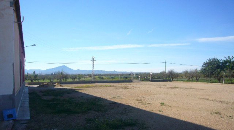 Murcia - Balsapintada - 3000m2