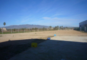 Industrial warehouse for rent in Fuente Álamo ref: TR104473 photo