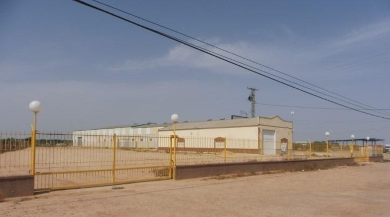Murcia - Fuente Álamo de Murcia - 3000m2