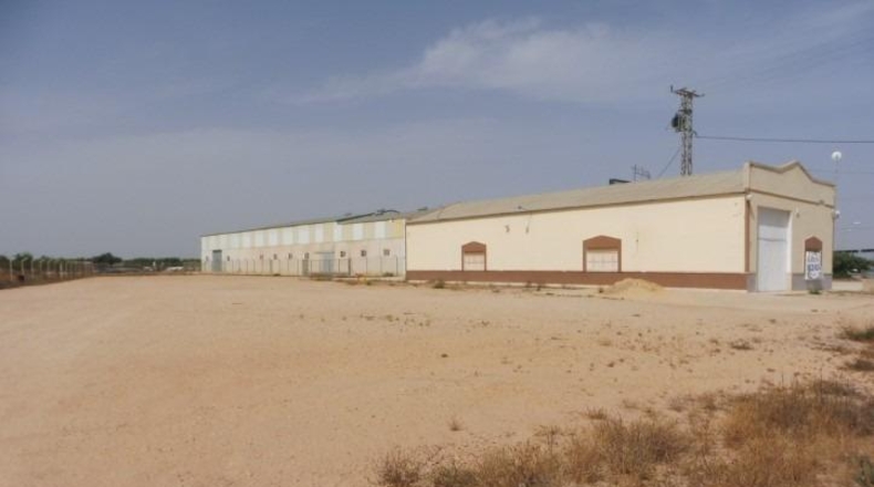 Murcia - Fuente Álamo de Murcia - 3000m2