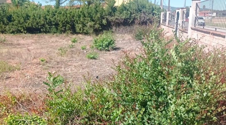 Tarragona - Santa Oliva - 1243m2