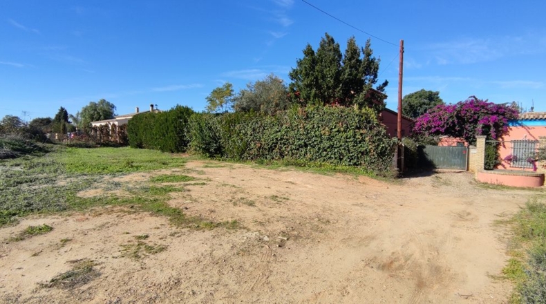 Sevilla - Villanueva del Ariscal - 928m2