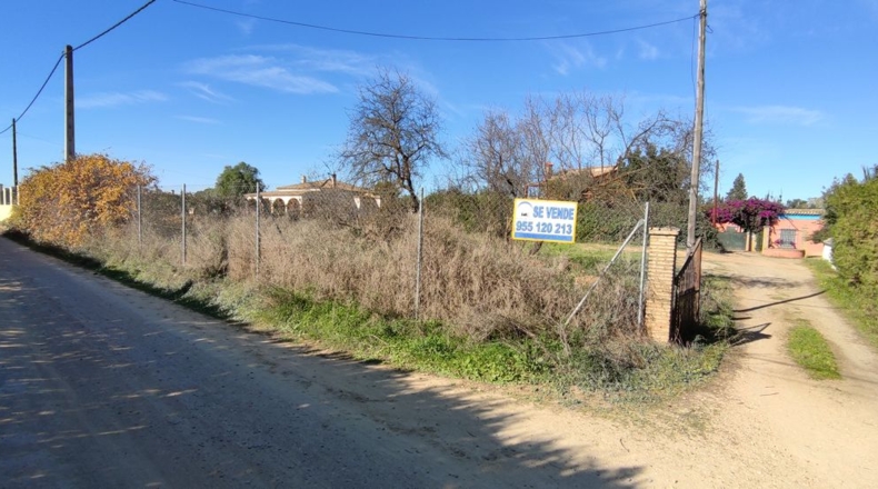 Sevilla - Villanueva del Ariscal - 928m2