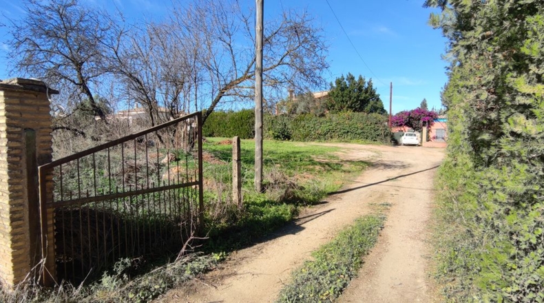 Sevilla - Villanueva del Ariscal - 928m2