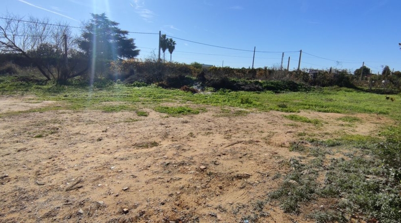 Sevilla - Villanueva del Ariscal - 928m2