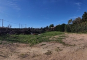 Terreno no urbanizable en venta en la España, Villanueva del Ariscal, ref: TR63533 foto