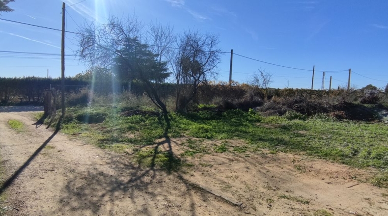 Sevilla - Villanueva del Ariscal - 928m2