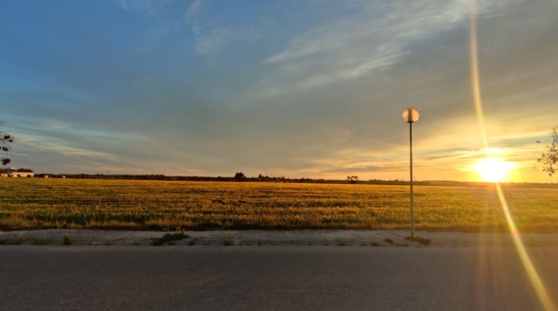 Sevilla - Palomares del Río - 451m2
