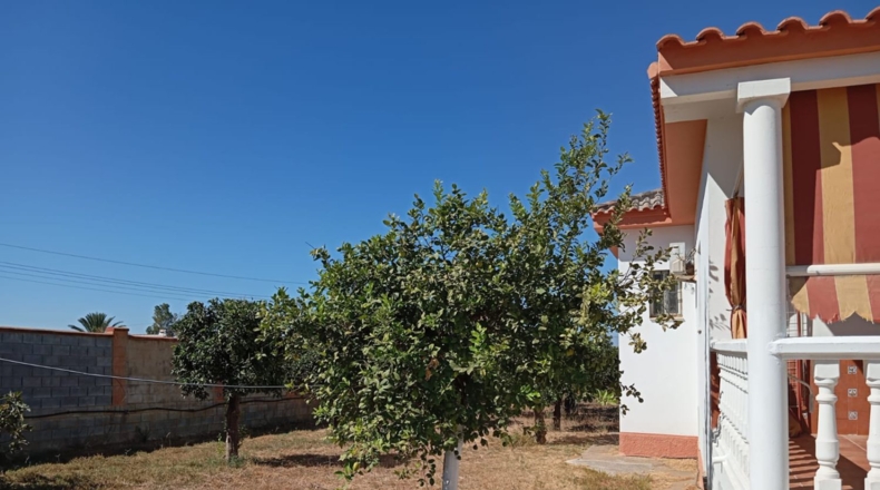 Sevilla - Alcalá de Guadaíra - 408m2