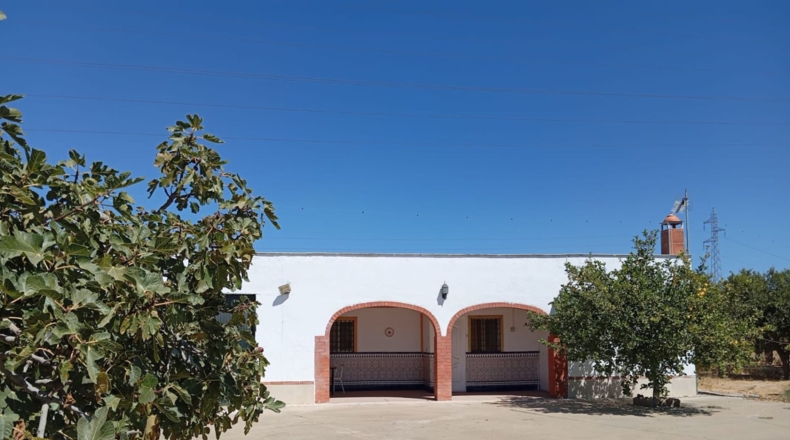 Sevilla - Alcalá de Guadaíra - 408m2