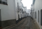 Casa de pueblo en venta en Aroche ref: TR277972 foto