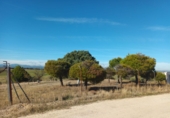 Finca rústica en venta en Brunete ref: TR62591 foto