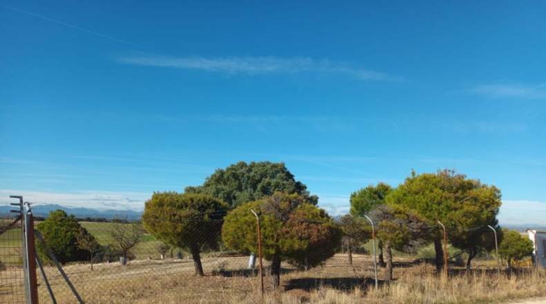 Comunidad de Madrid - Brunete - 10000m2