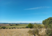 Finca rústica en venta en Brunete ref: TR62591 foto