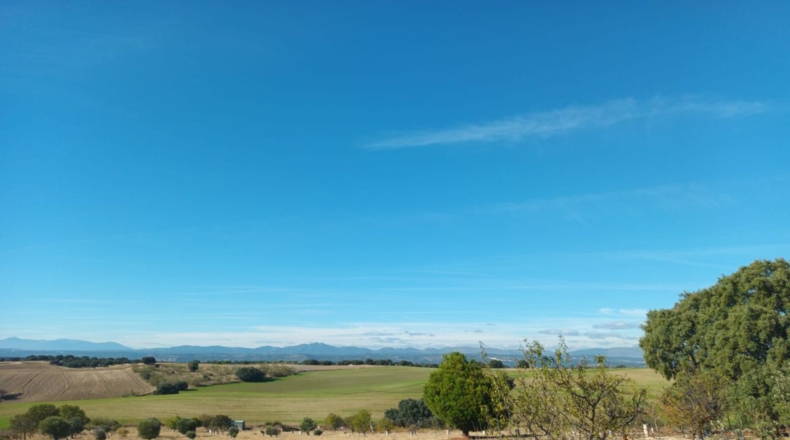 Comunidad de Madrid - Brunete - 10000m2