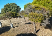 Finca rústica en venta en Brunete ref: TR62591 foto