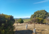 Finca rústica en venta en Brunete ref: TR62591 foto