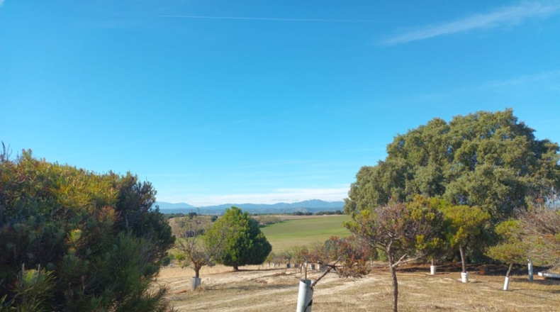 Comunidad de Madrid - Brunete - 10000m2
