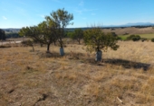 Finca rústica en venta en Brunete ref: TR62591 foto