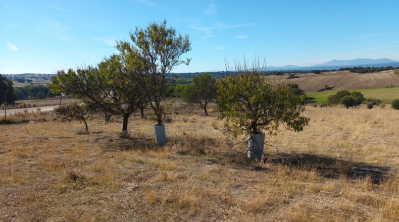 Comunidad de Madrid - Brunete - 10000m2