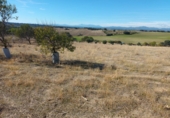 Finca rústica en venta en Brunete ref: TR62591 foto