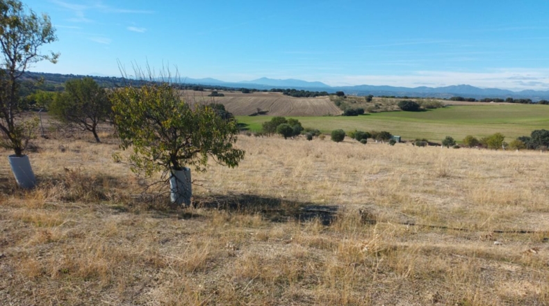 Comunidad de Madrid - Brunete - 10000m2