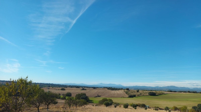 Comunidad de Madrid - Brunete - 10000m2
