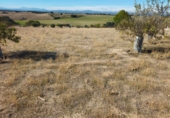 Finca rústica en venta en Brunete ref: TR62591 foto